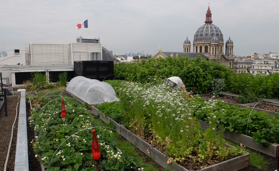 TOPAGER_PLAQUETTE_Farmroof1