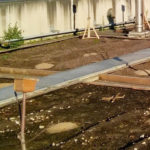 Photo de l'entreprise Wildroof, toitures à végétalisation spontannée