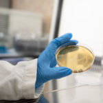 Photo de l'entreprise Toopi Organics, recyclage de l'urine humaine