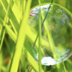 Photo de l'entreprise Acta Consult, formation RSE