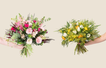 Photo de l'entreprise Fleurs d'ici, 1ère marque de fleurs éthiques 100% Made in France
