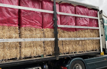 Photo of the company Isol En Paille, manufacturer of a range of straw insulation