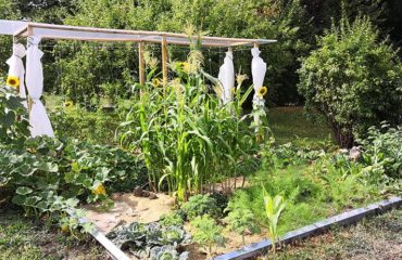 Photo de l'entreprise Quadra Terra, potagers Bio, clé en main et autonomes