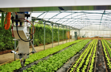 Photo de l'entreprise Neofarm, fermes agroécologiques et technologiques