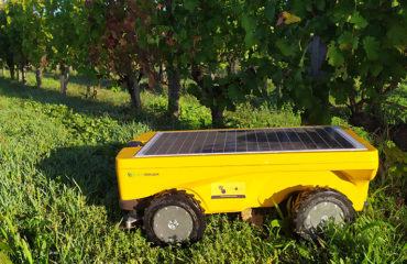 Photo de l'entreprise Vitirover, Robot Tondeur Agricole Autonome