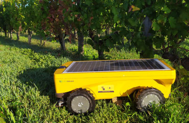 Photo of the company Vitirover, Autonomous Agricultural Mower Robot