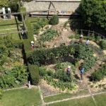 Photo de l'entreprise Ciel Mon Radis, potagers d'entreprise et animations
