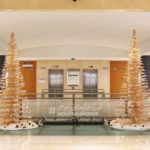 Photo de l'entreprise Ciel Mon Radis, potagers d'entreprise et animations