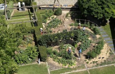 Photo de l'entreprise Ciel Mon Radis, potagers d'entreprise et animations