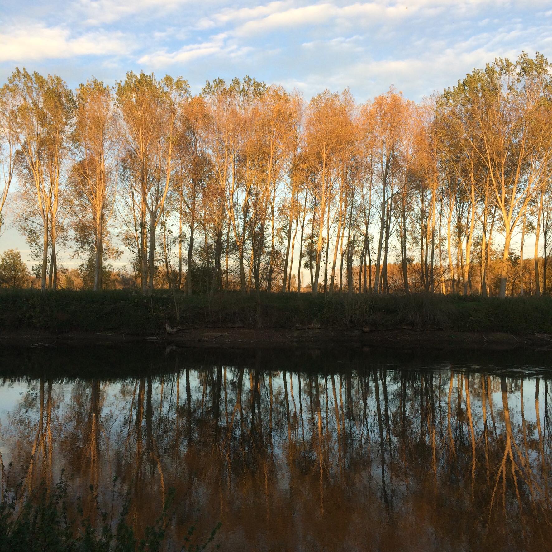 125469141_792170307995786_4158787600418984663_n