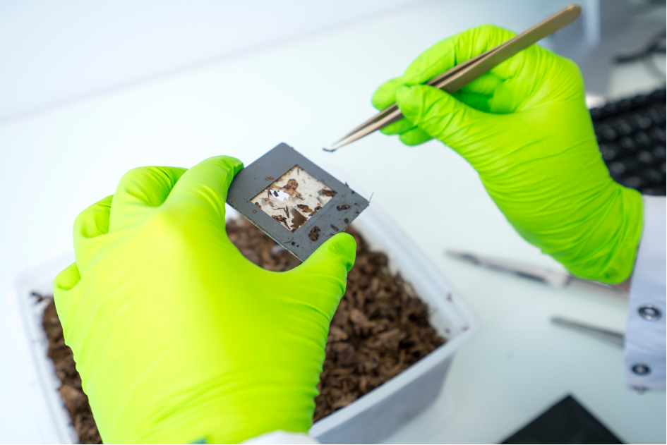 Plant-based-plastic-containing-the-additive-during-biodegradation-©Carbiolice