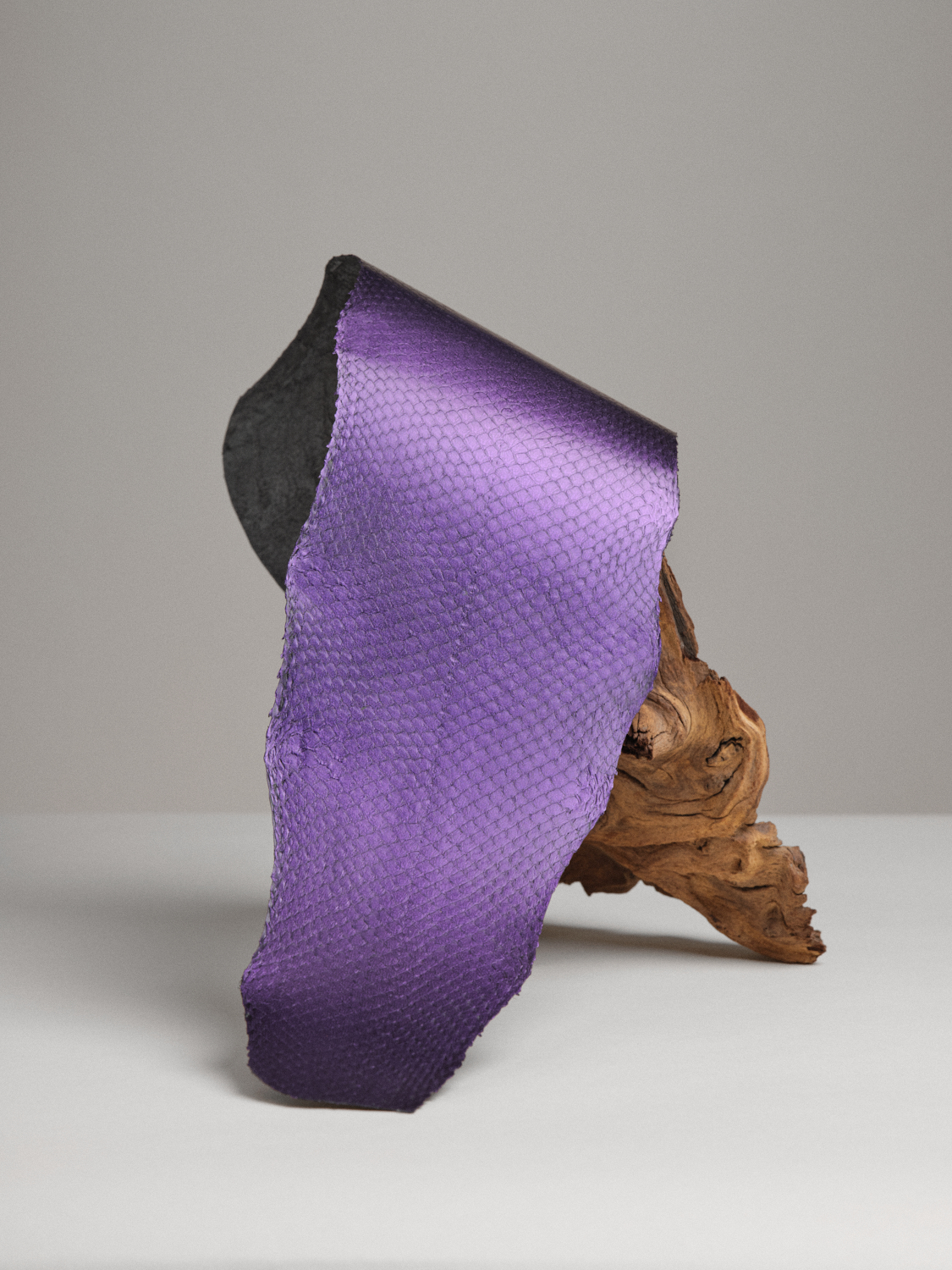 Squama-Métallisé-Amethyste