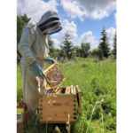 Photo de l'entreprise Apimelis, ruches en ville et en entreprise