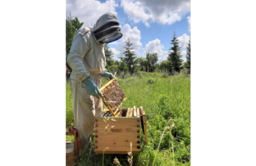 Photo de l'entreprise Apimelis, ruches en ville et en entreprise