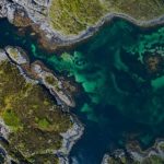 Photo de l'entreprise ECO ACT, compensation carbone