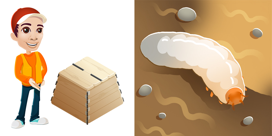 compost-chalenge-photo