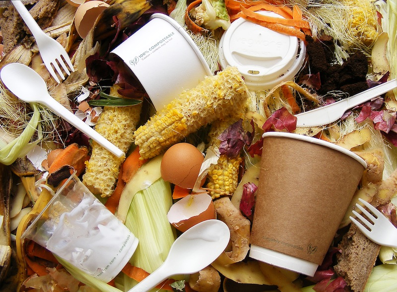 compost_foodwaste_topclose_1307