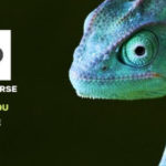 Photo de l'entreprise KOSSOP, expertise et solutions développement durable