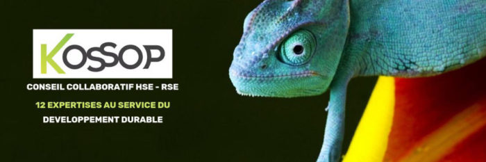 KOSSOP – Conseil collaboratif RSE & HSE - Takagreen