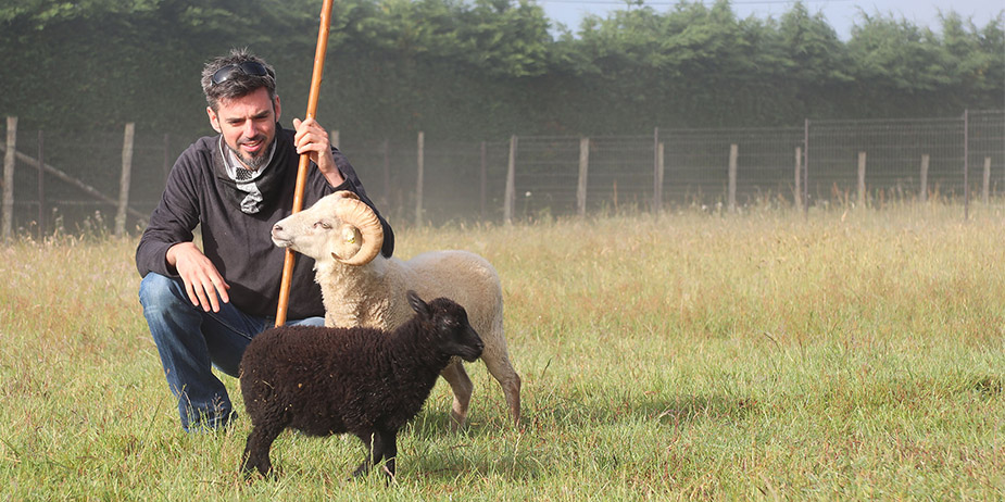 lesmoutonsurbains-photo