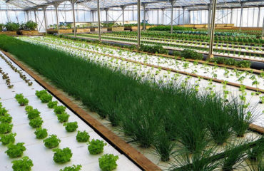 Company photo Nutreets, plant and fish production