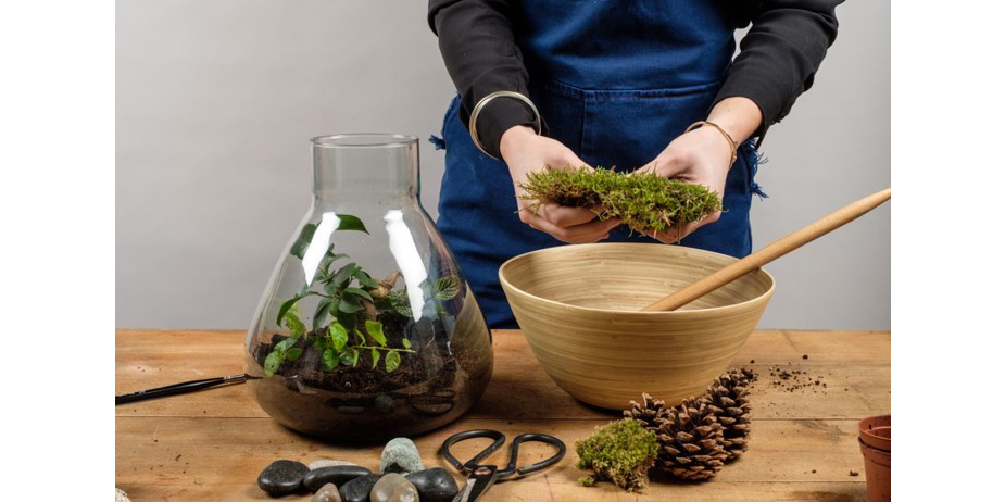 photo-ciel-mon-radis