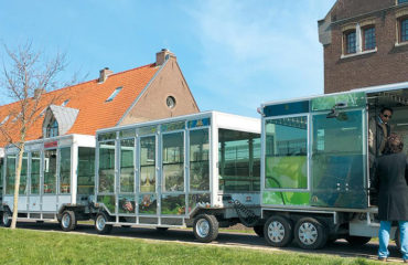 Company photo Mobilité Plus, leader in local electric transport