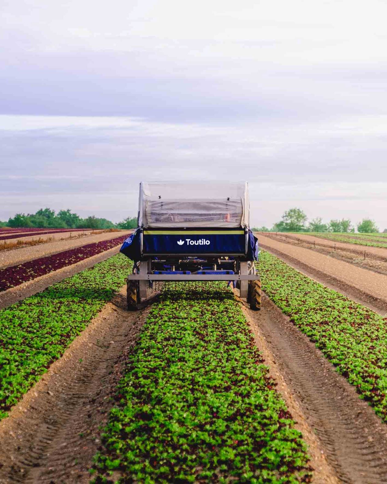 Cobot_Toutilo_sept20-1