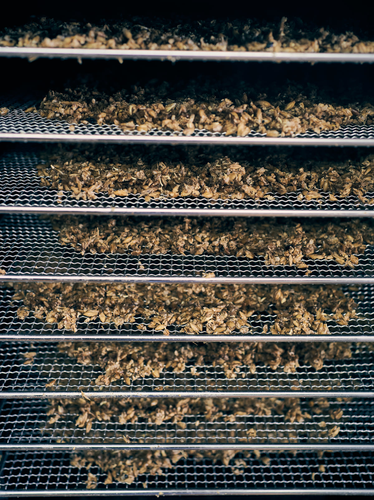 Séchage-des-drêches