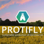 Photo de l'entreprise Protifly, larves de mouches pour valoriser les biodéchets