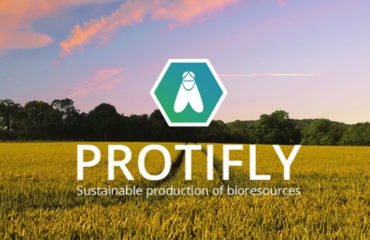 Company photo Protifly, fly larvae to recover bio-waste