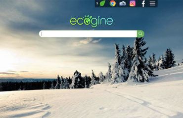 Photo of the company Ecogine, Ecogine, ecological search engine