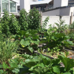 Photo de La Fabrique A Feuilles, accélérateur de végétalisation urbaine