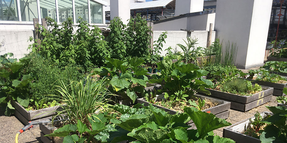 la-fabrique-a-feuilles-photo