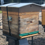 Photo de l'entreprise Bekeeper, ruches en entreprise