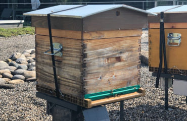 Bekeeper company photo, beehives in company