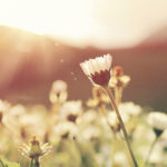 Photo de l'entreprise We Green Up, diagnostic prévention et gestion des déchets