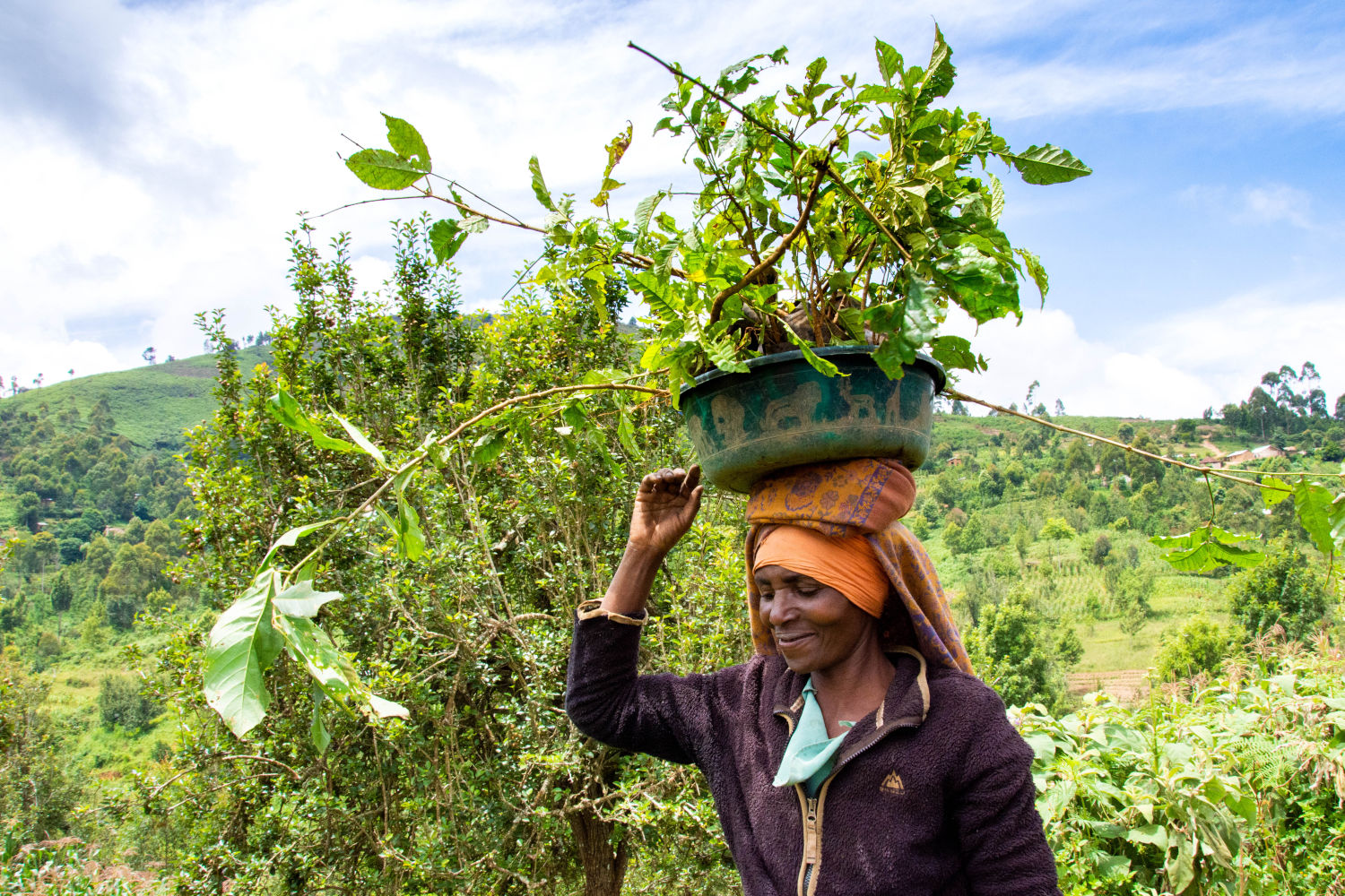 DSC_2356c-Reforest-Action