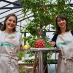 Photo de l'entreprise Save Eat, Save Eat, solutions anti-gaspi pour entreprises