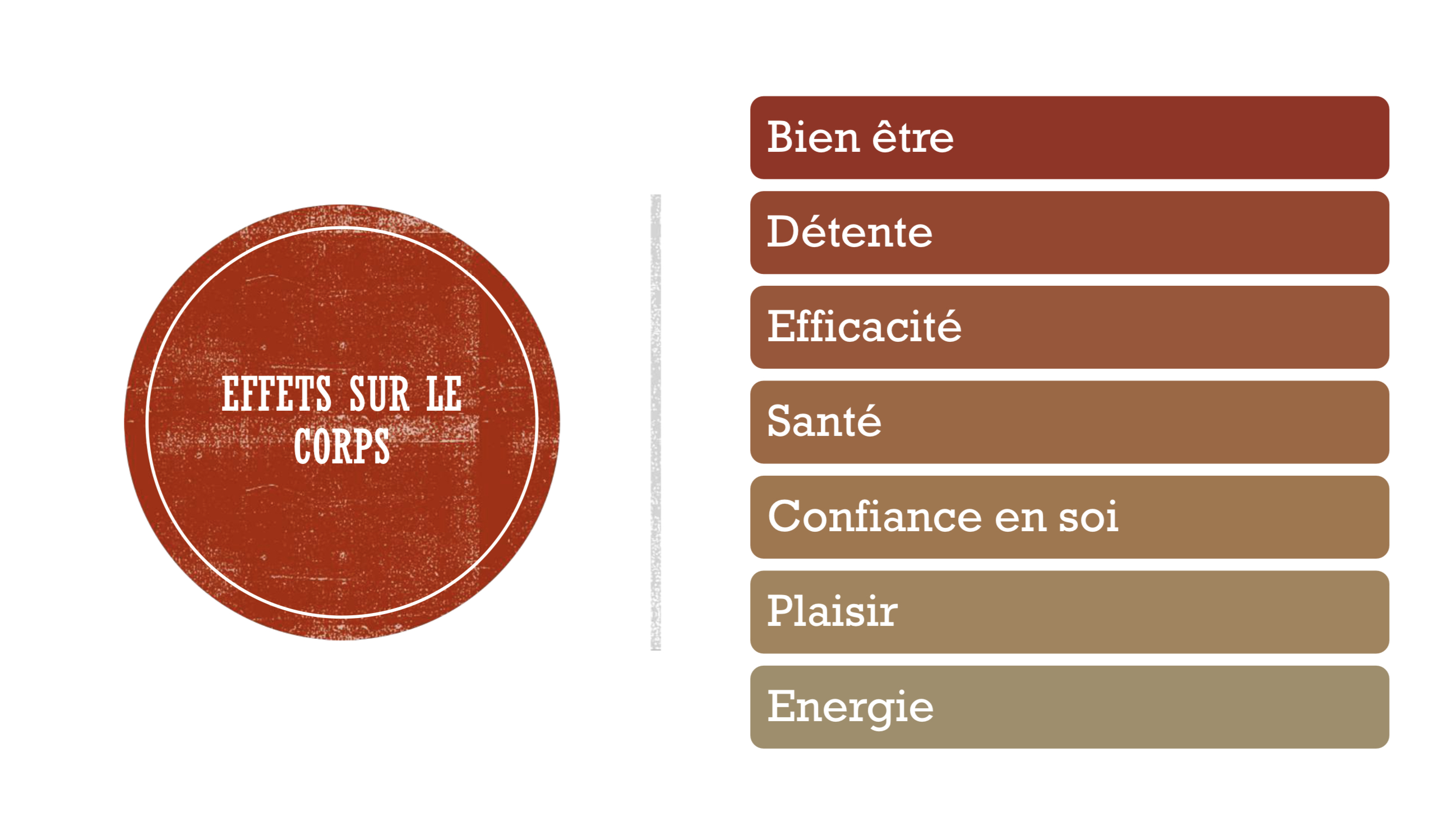 25C39772-0B0E-4CCF-8F84-A85A03446CFC