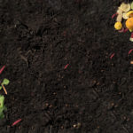 Photo de l'entreprise Ouivalo, tri des biodéchets alimentaires