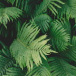 Photo de l'agence Wild&Slow, agence de communication responsable