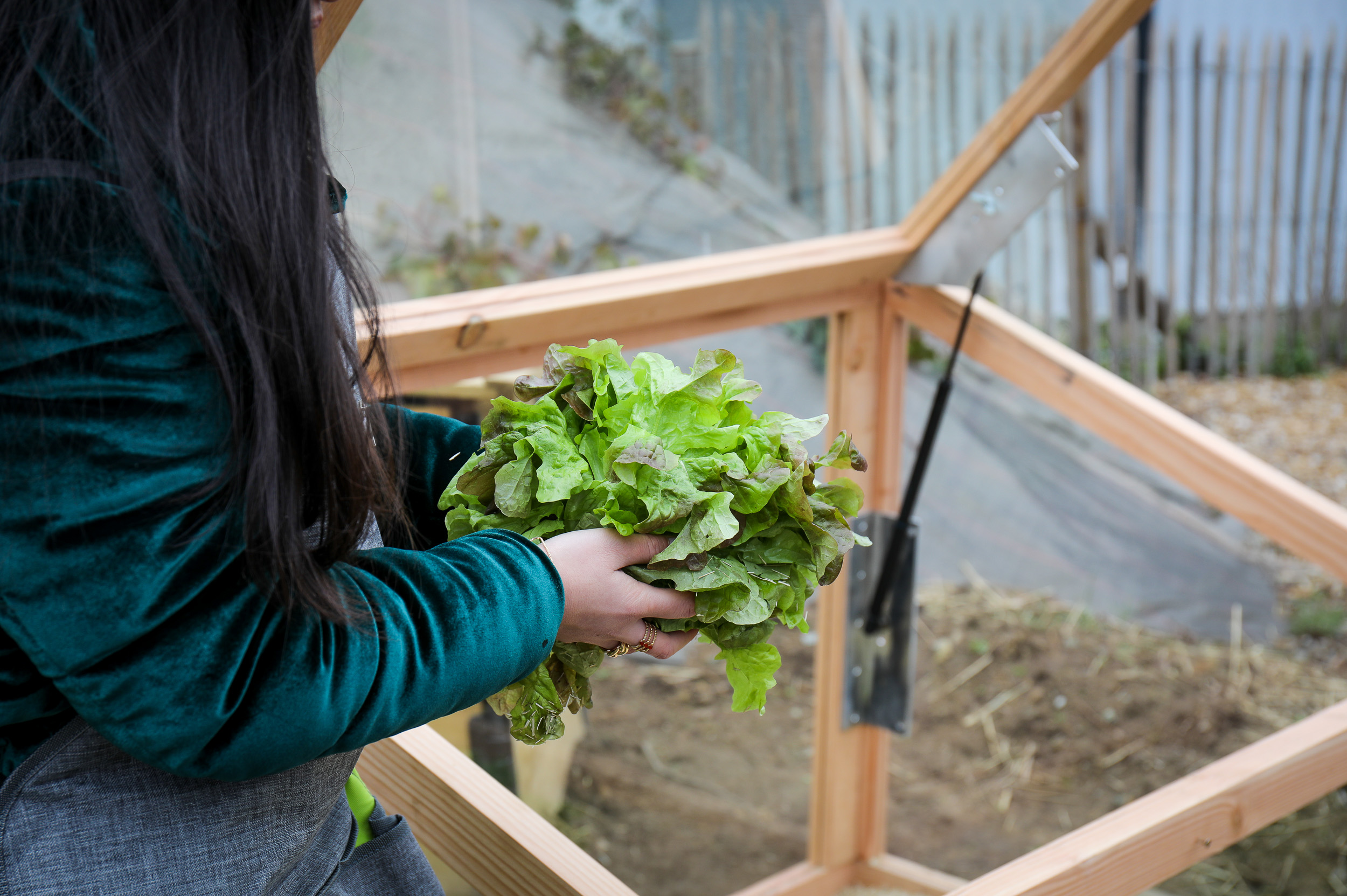 upgaarden-serres-mini-serres-jardinage-empreinte-environnementale-6-sur-12