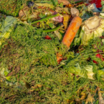 Photo de l'entreprise Biovare, gestion des bio-déchets