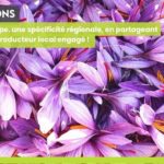 activ immersion team building responsables