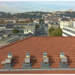 graine d'abeilles ruches entreprise