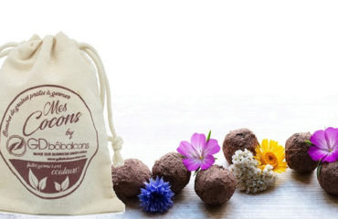 Photo of the company GD Bô Balcons, seed bombs