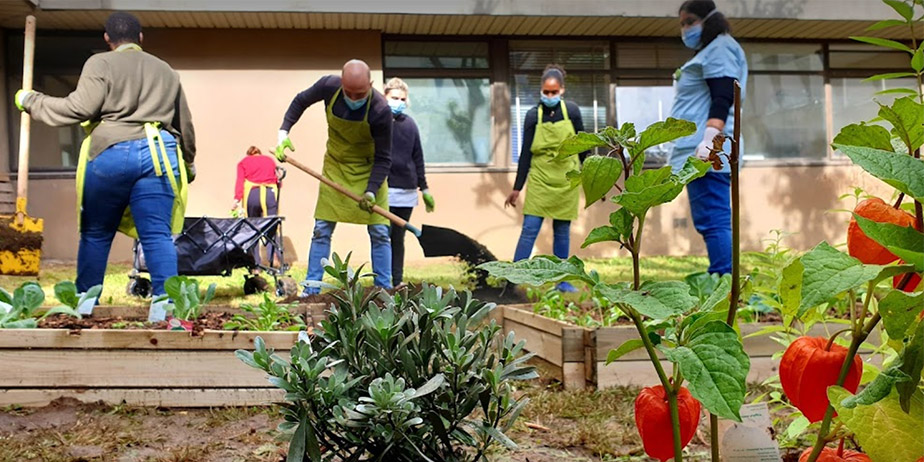 Photo of the company Growsters, shared gardens