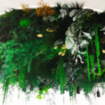 Photo de l'entreprise Vegetal Indoor