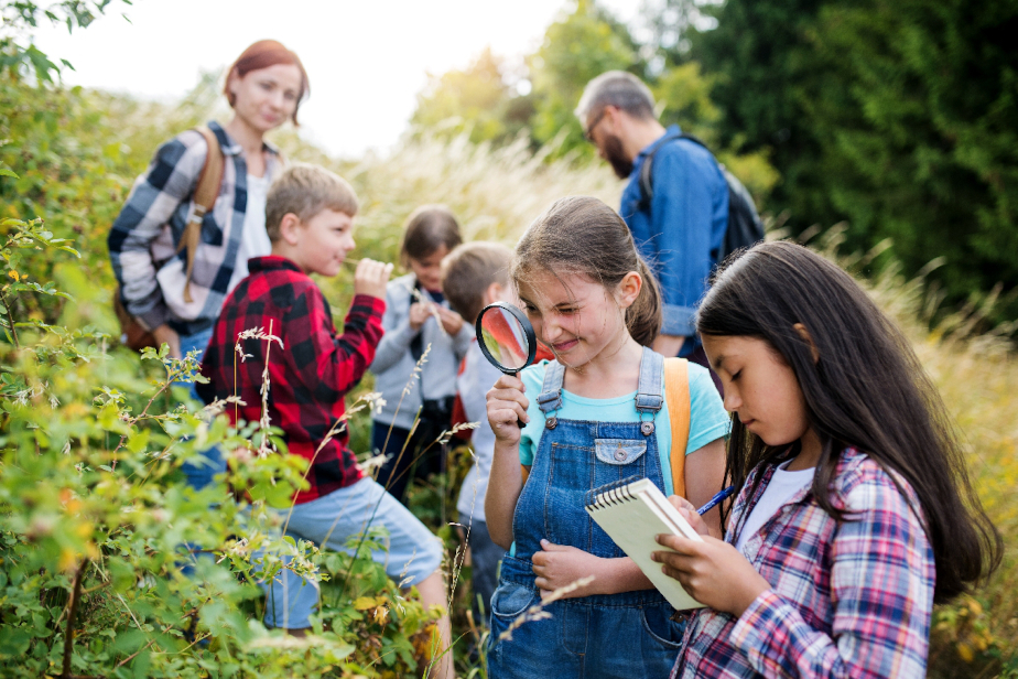 france-nature-environnement-éducation